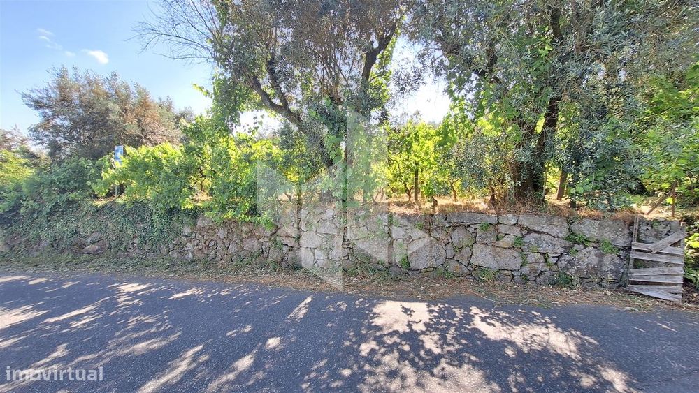 Terreno Para Construção  Venda em Molelos,Tondela