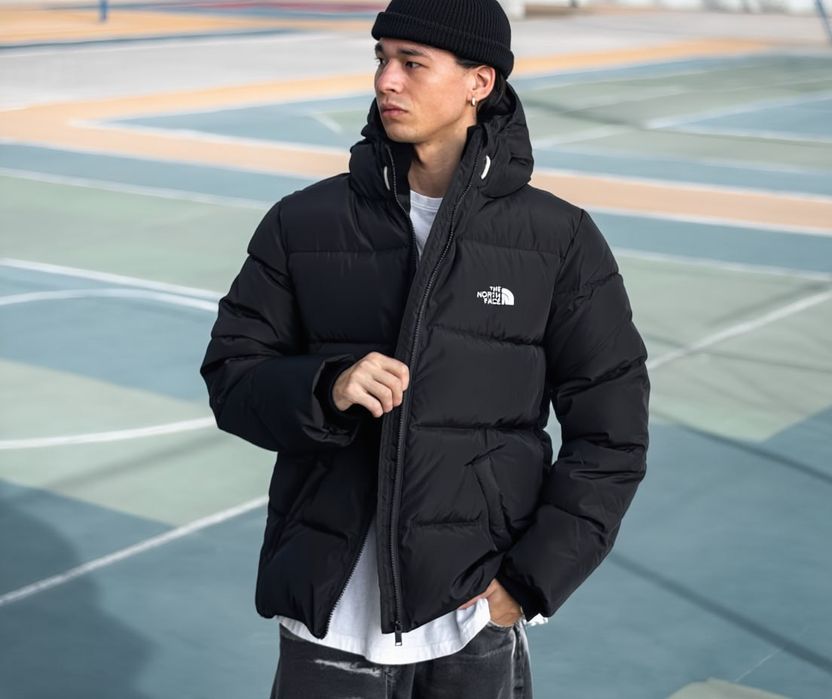 Куртка мужская TNF черная зимняя с био-пухом