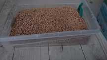 10 kg żwirek drewniany pellet drewniany dla gryzoni świnki królika kot