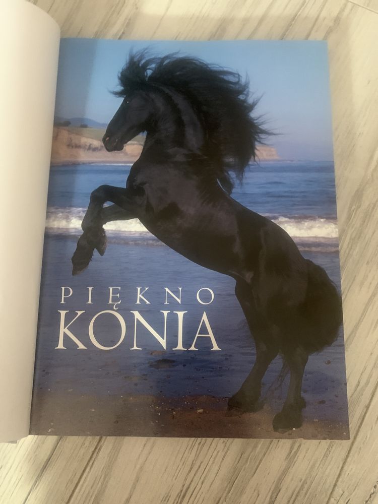 Piękno konia album