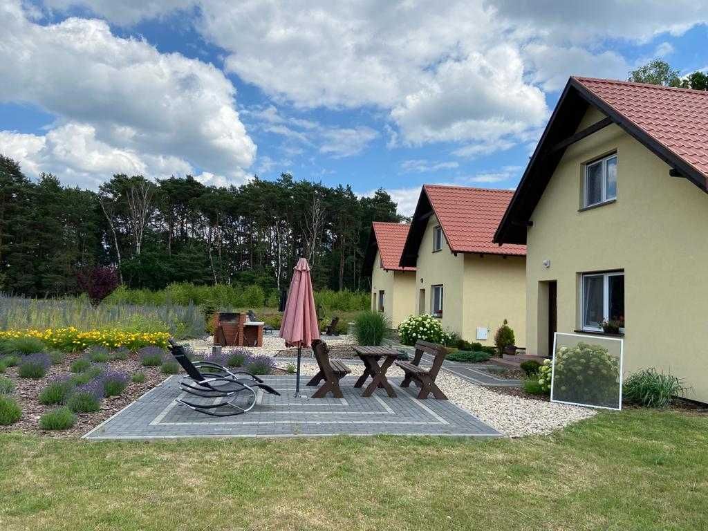 Bednarzówka - dla miłośników przyrody i pracowników | WOLNE W LIPCU