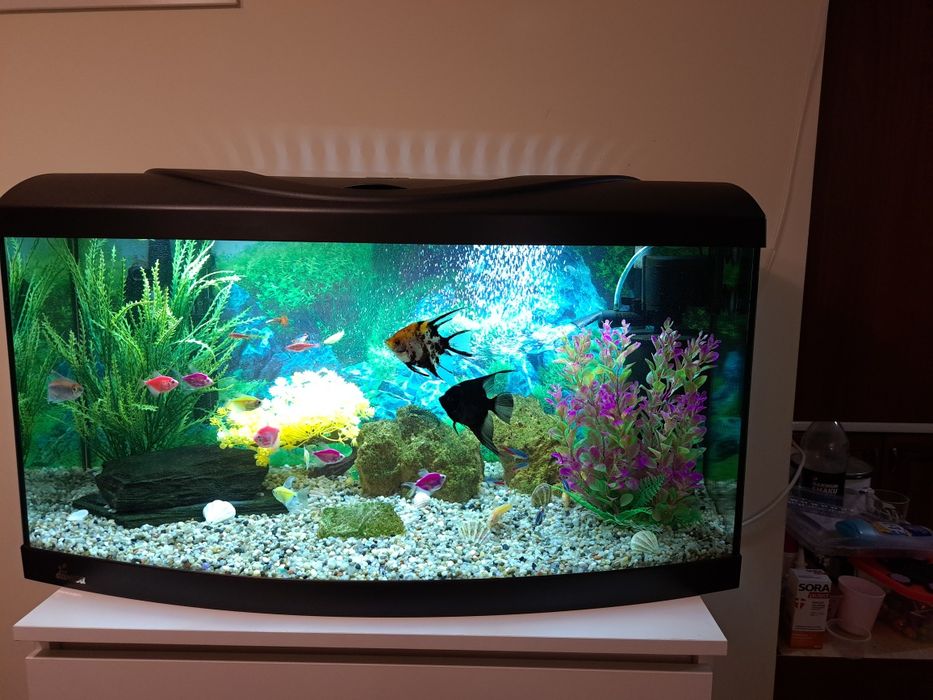 Sprzedam Akwarium 112L Diversa (Bez Rybek)