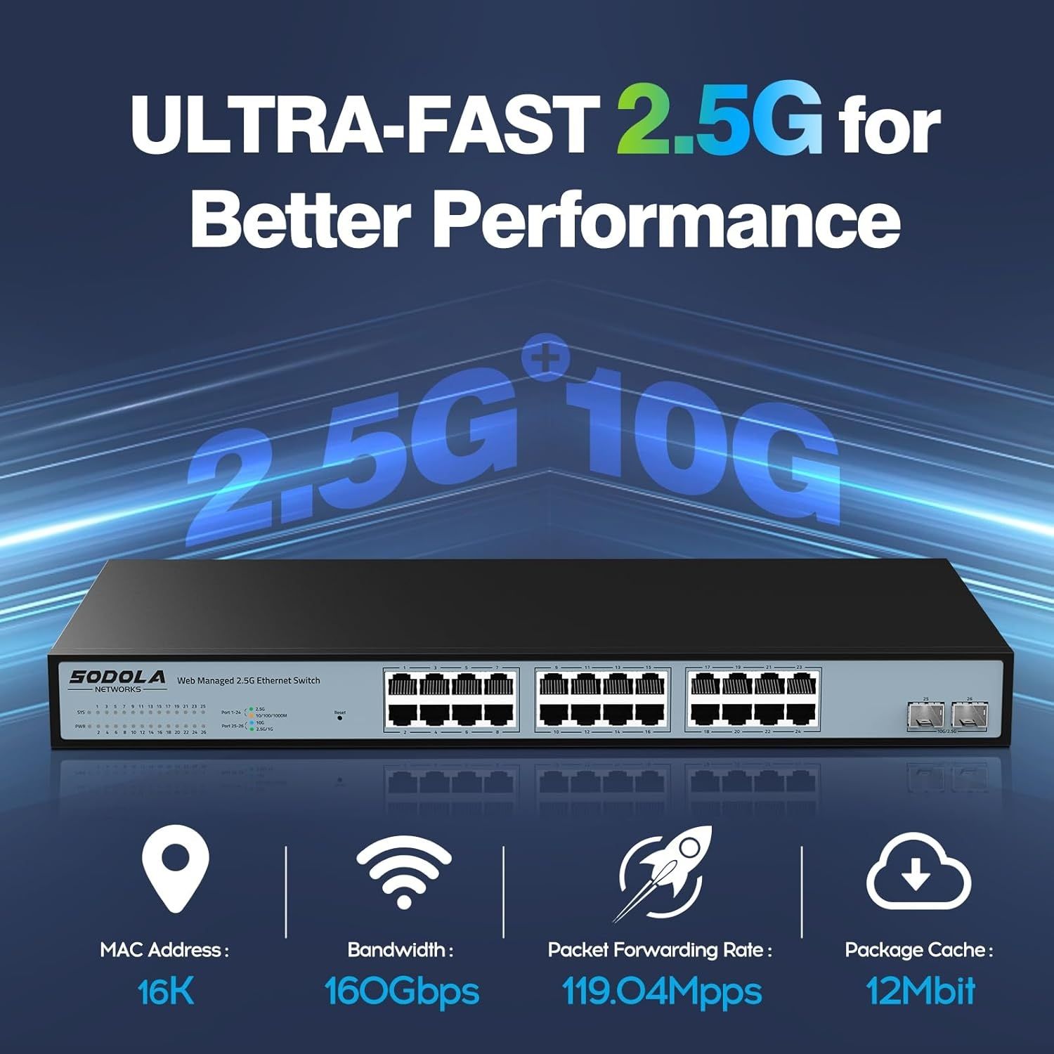 24 port 2.5 g switch