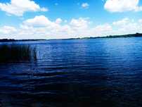 Działka rekreacyjna 5000 m