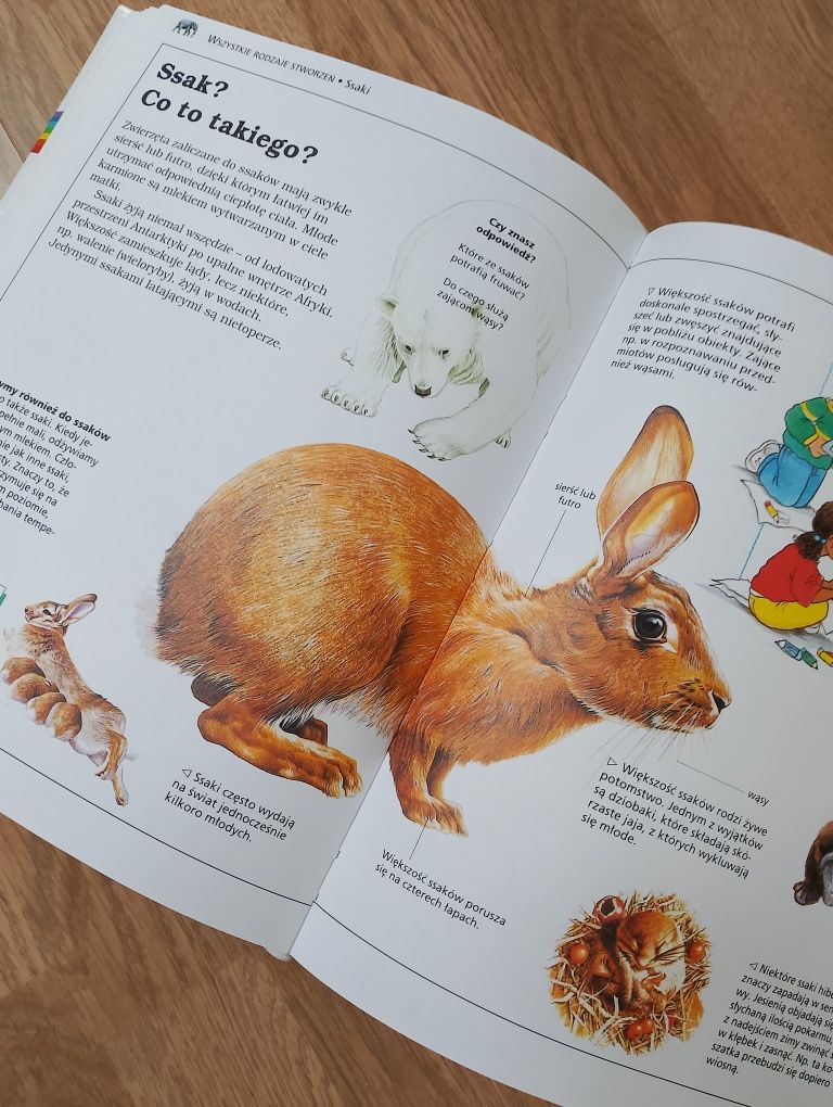 Encyklopedia dla dzieci