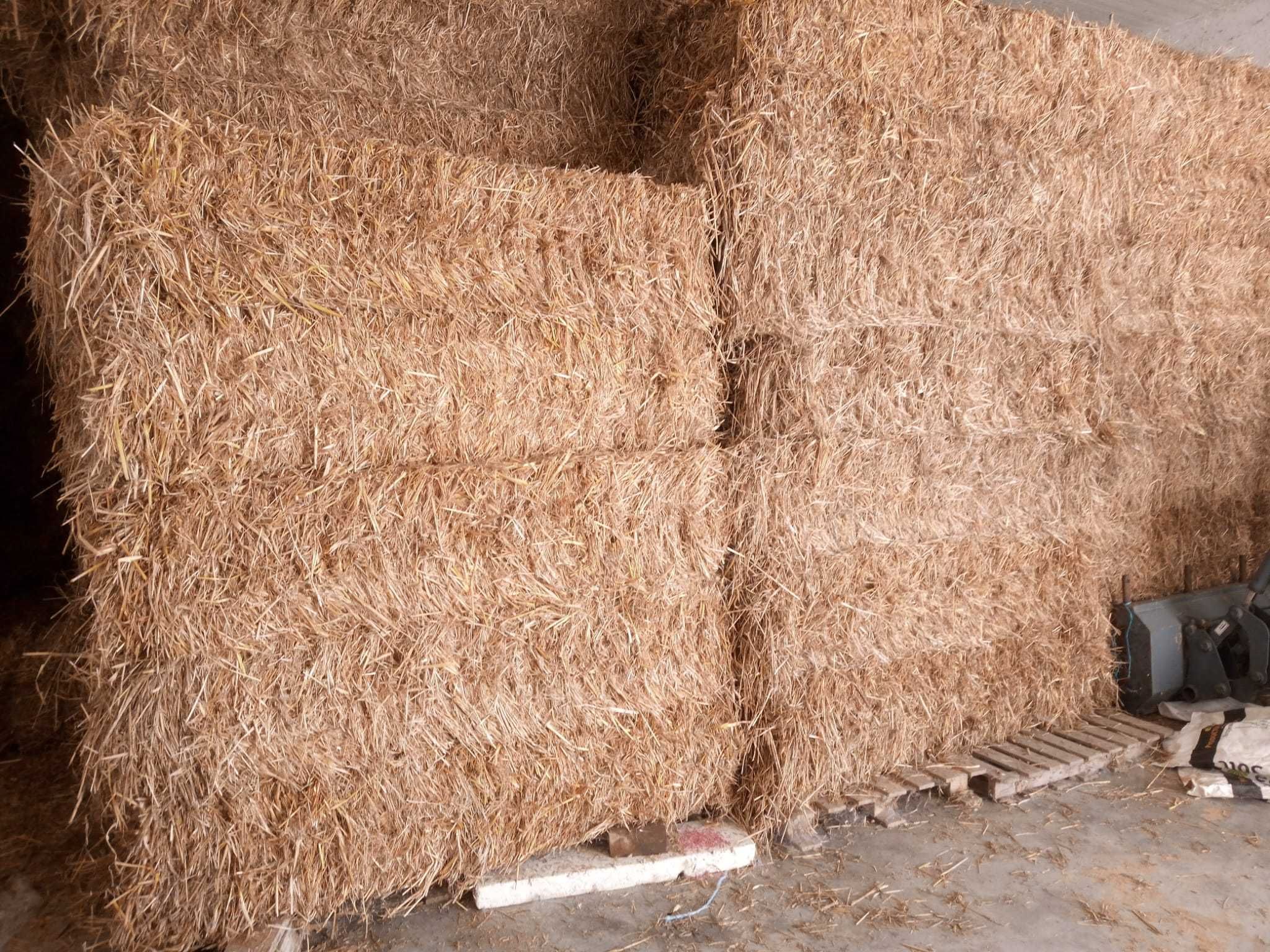 Fardos de feno médios