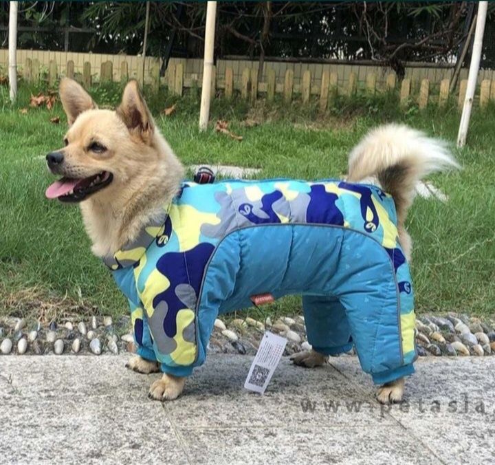 Зимний комбинезон для собаки
