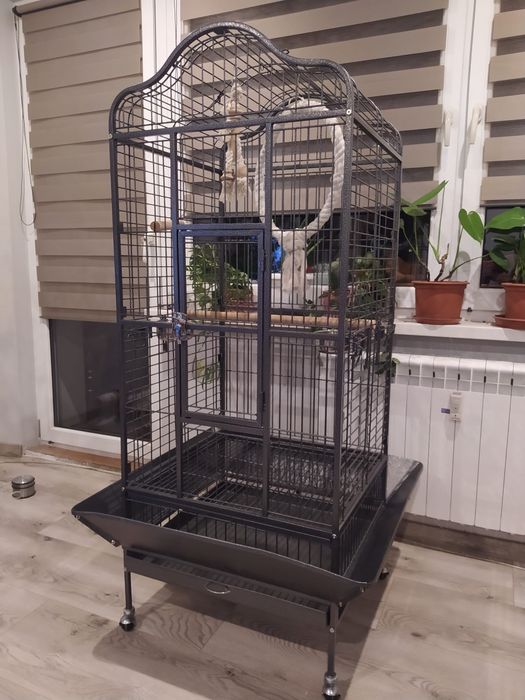 Duża klatka dla papugi z akcesoriami