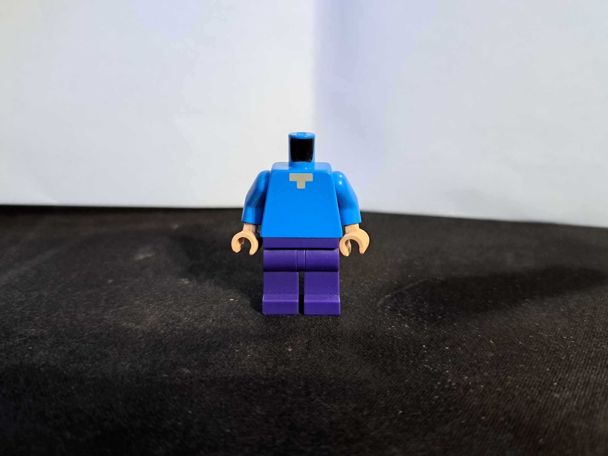 Lego Minecraft STEVE