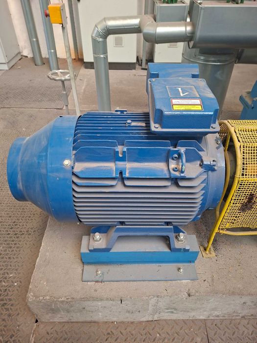 Silnik elektryczny TAMEL S.A. – Typ 4Sg250M4-IE3