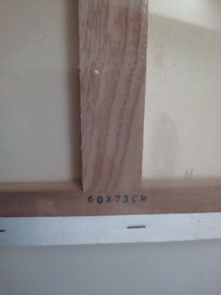 Tela de pintura em algodão.