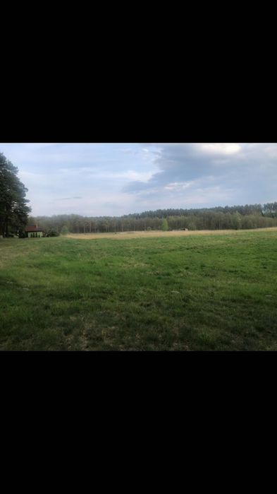 Działka blisko jeziora wieck pomorskie nad jeziorem