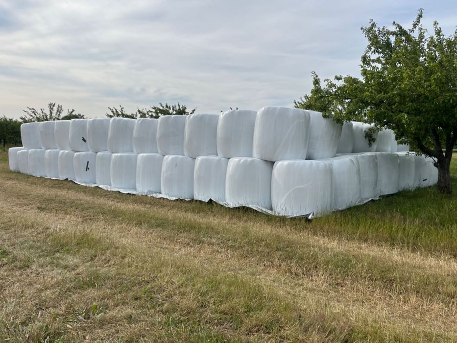 Baloty sianokiszonki