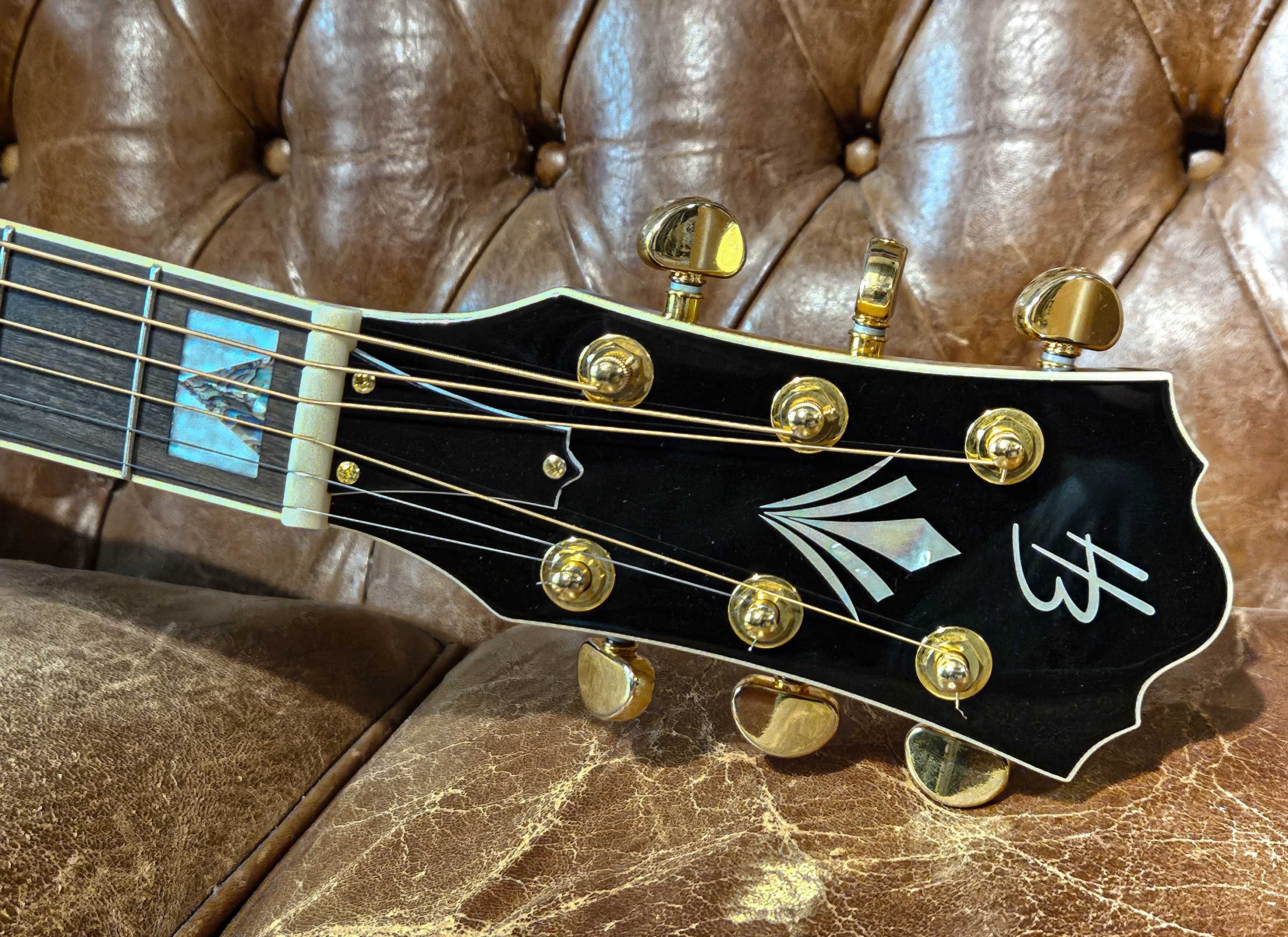 Michael Kelly Patriot Edição Limitada & Harley Benton Custom Line King
