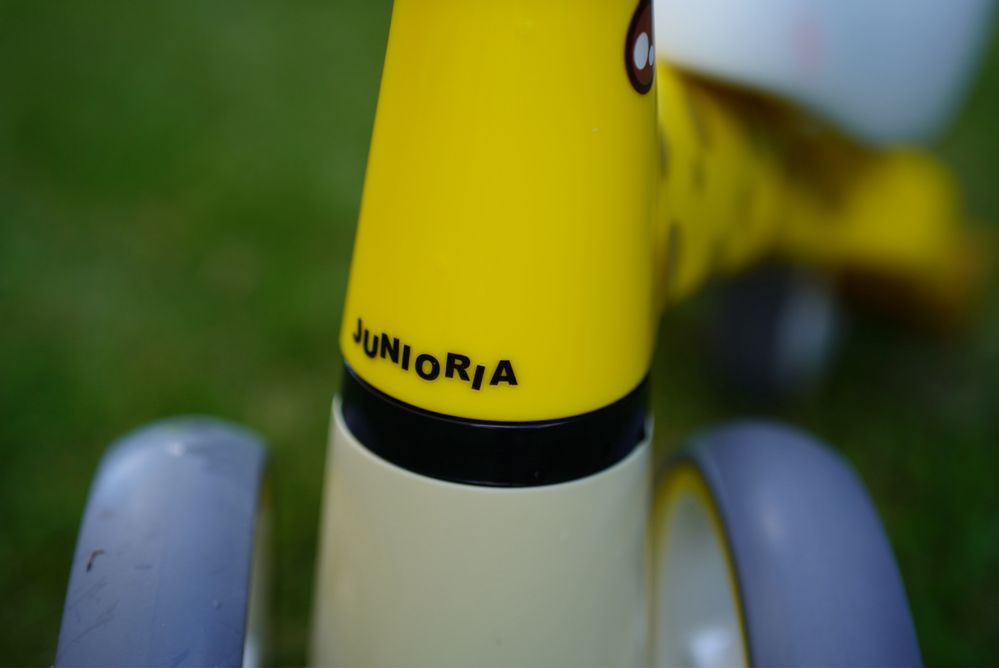 jezdzik junioria zyrafa