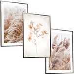 50x40 obrazy w ramie plakaty ramka PAMPAS TRAWA SALON NATURA BOHO