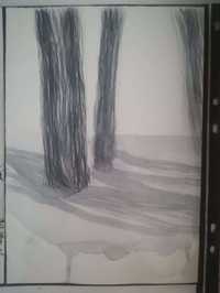 Pintura original troncos árvore e sombras - aguarela