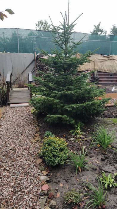 Продам дом с.Светлое, СТ"Свитанок", новые дачи,