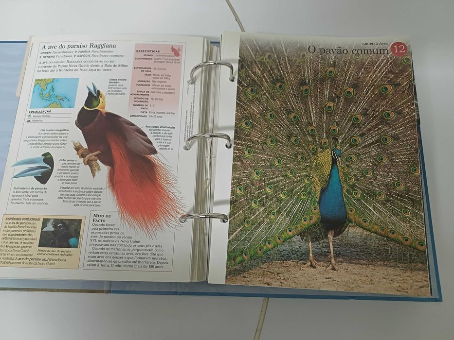 O Fascinante Mundo Animal 1 volume