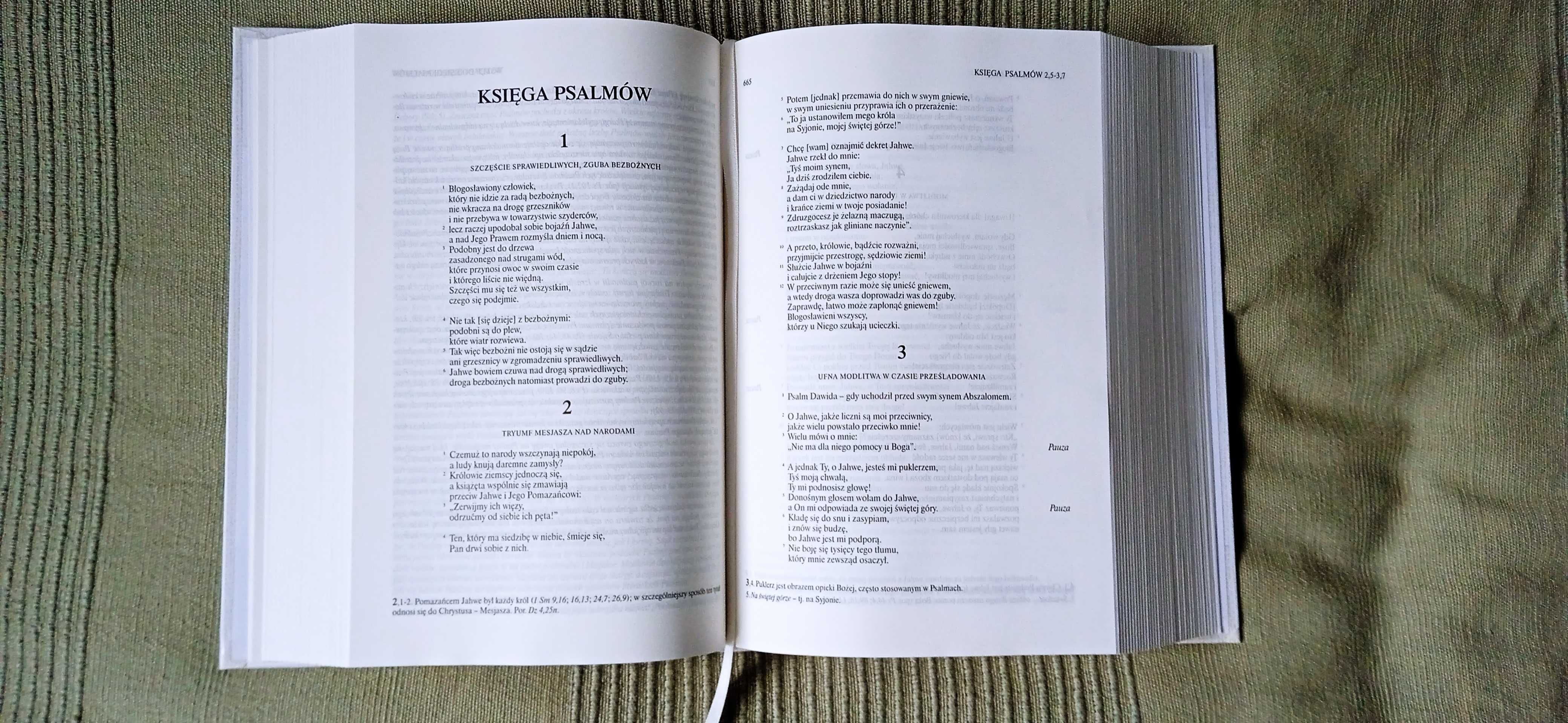 Pismo Święte Stary i Nowy Testament