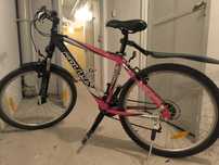 Rower górski MTB Kellys Scarpe