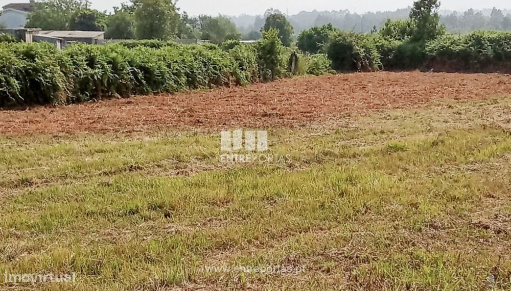 Venda de Terreno com 3844 m², Darque, Viana do Castelo