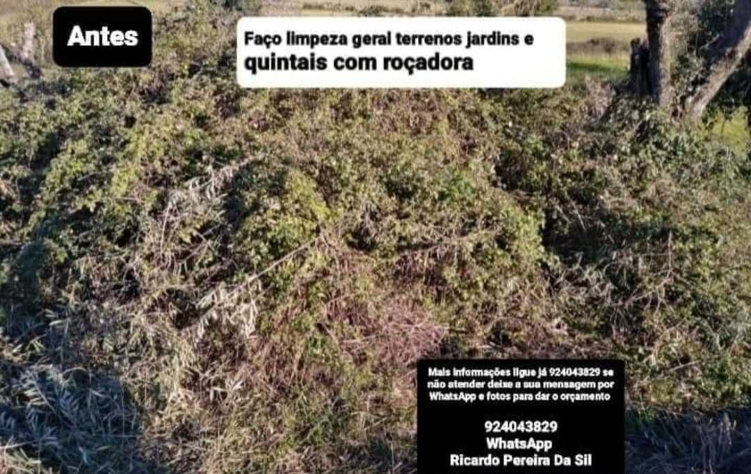 Limpeza terrenos Evite multas por falta de limpeza seu espaço