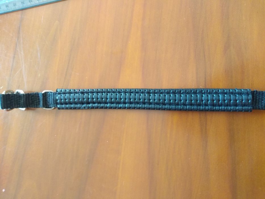 Coleira Nova cão porte pequeno/médio