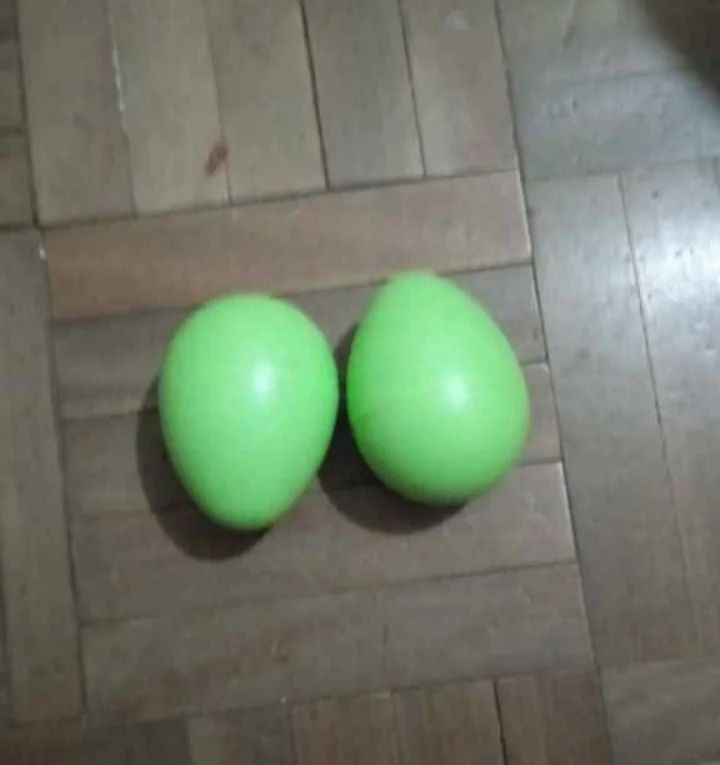 Ovos musicais percussão