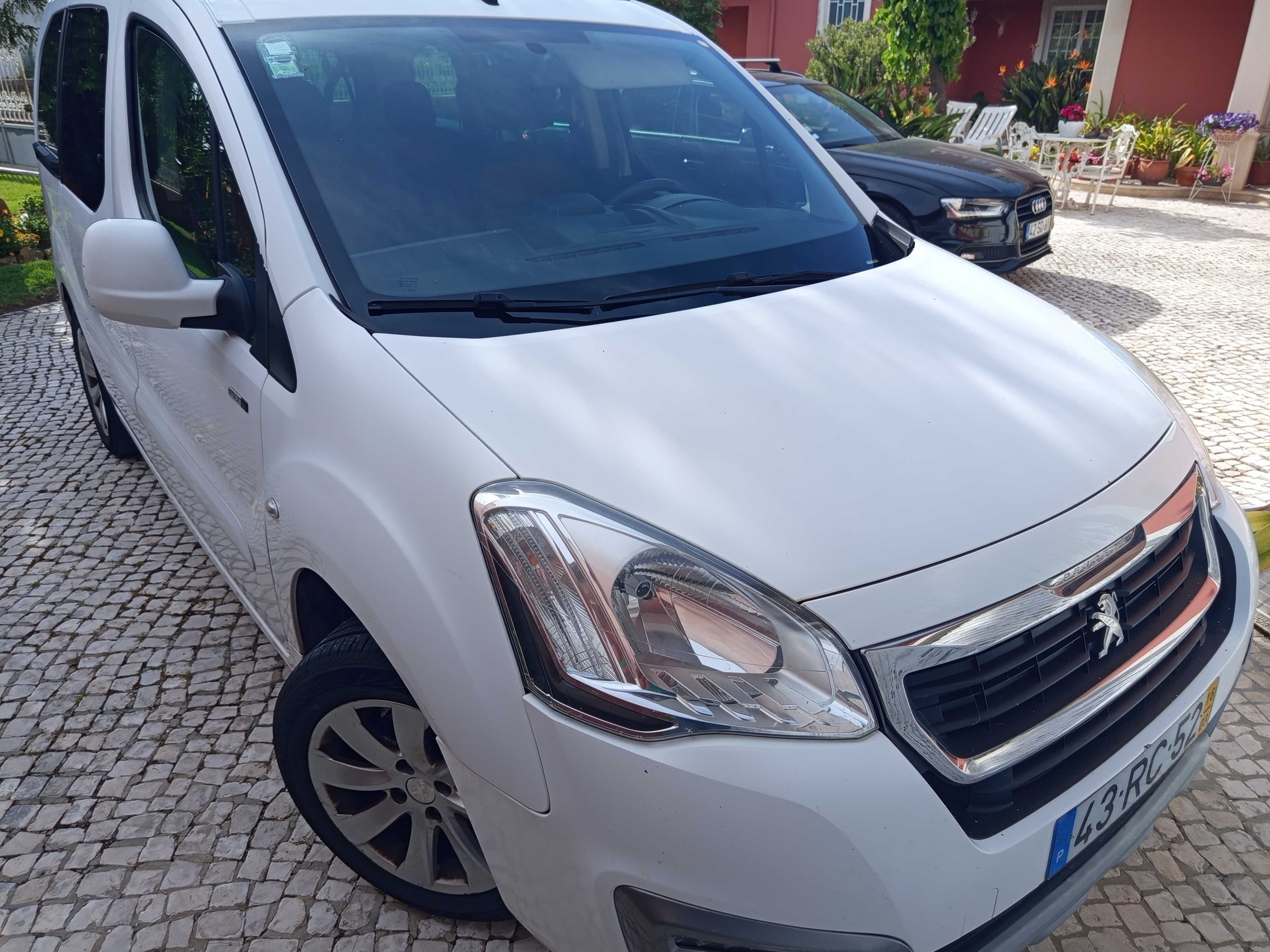 Peugeot Partner Tepee 1.6 hdi