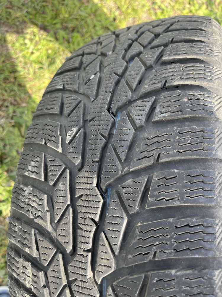 Opona Nokian WR D4