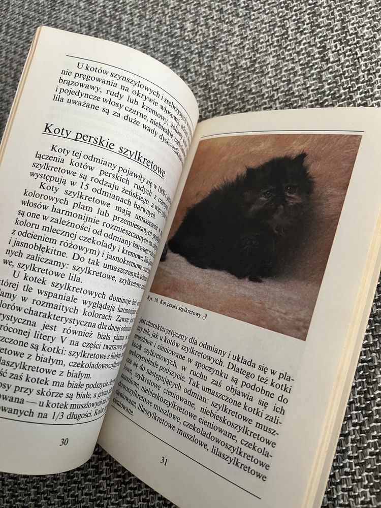 Koty perskie Aleksandra Konarska-Szubska