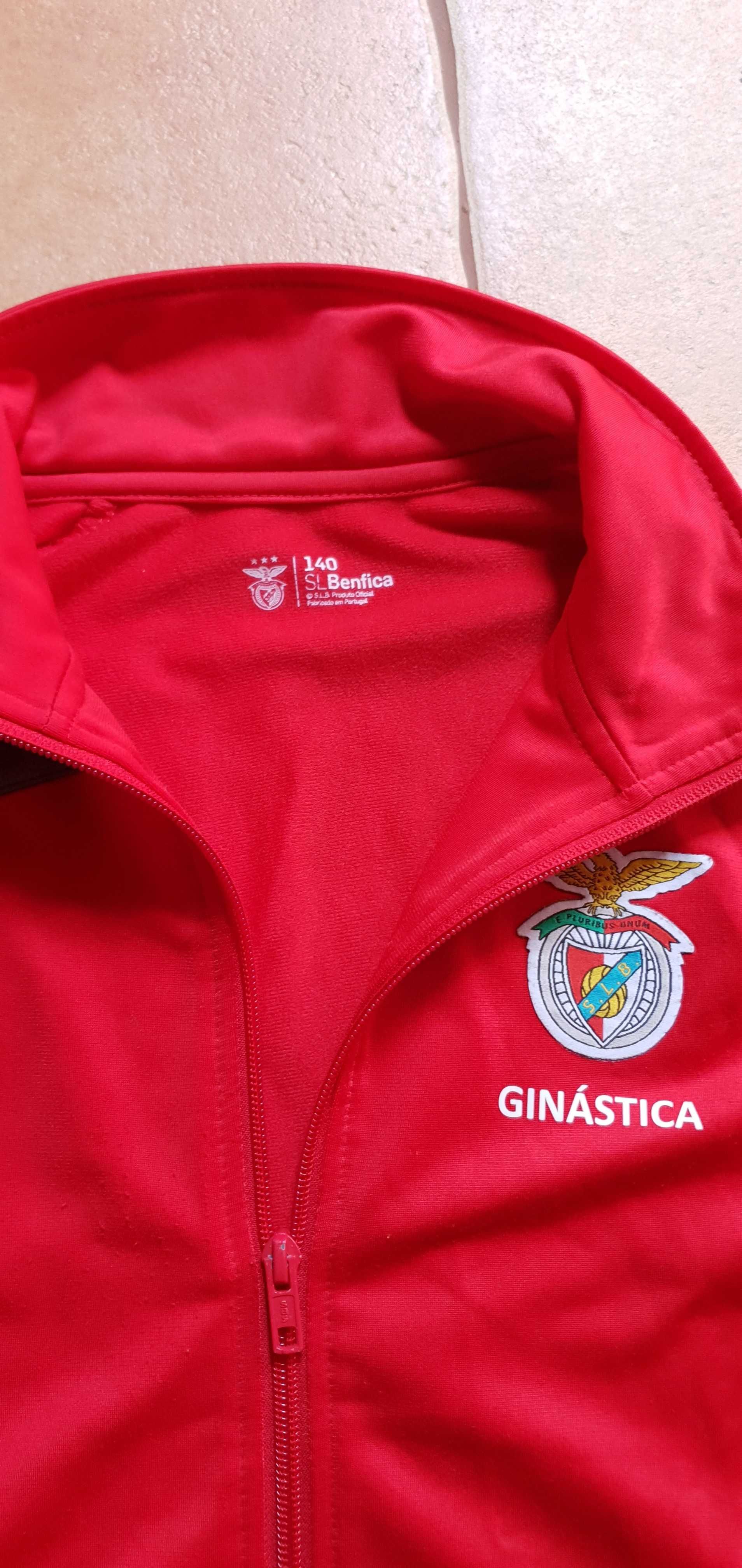 Fato Treino original do SL Benfica -  Ginastica