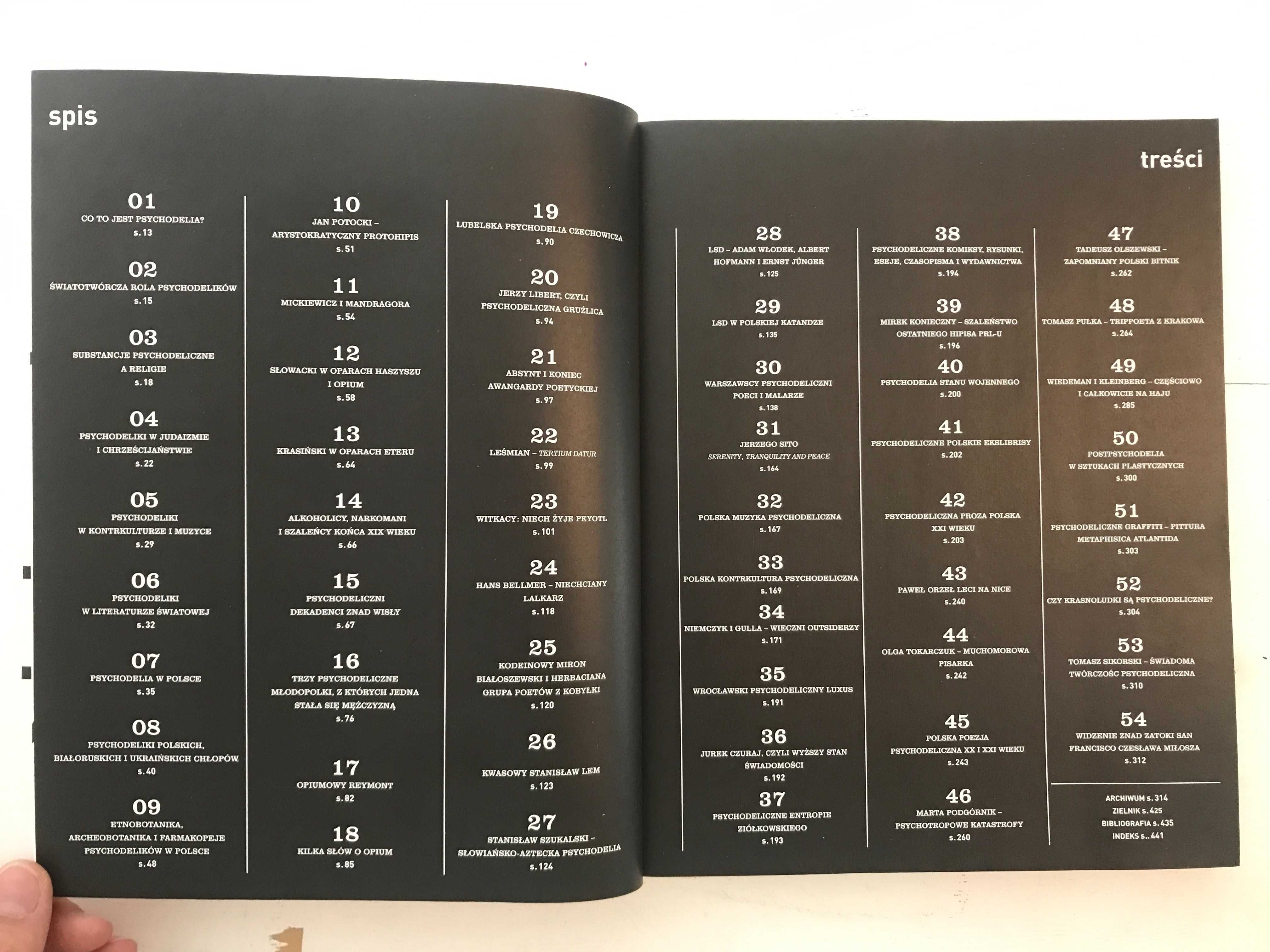 Encyklopedia Polskiej Psychodelii Kamil Sipowicz