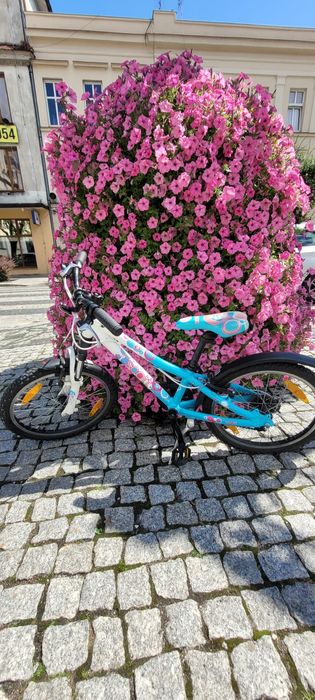 Rower dziewczęcy 20 cali