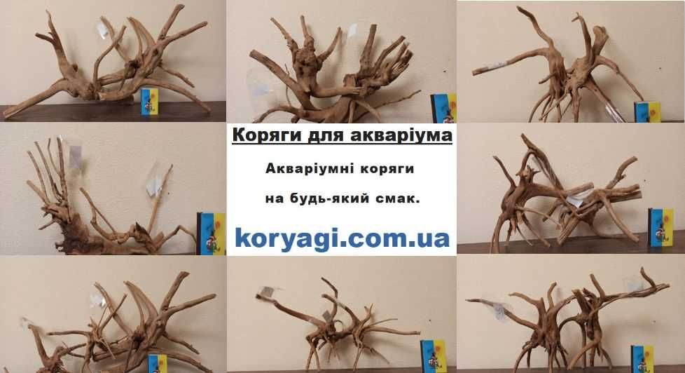 Коряга для акваріума. Вітчизняного виробництва. Різні породи деревини.