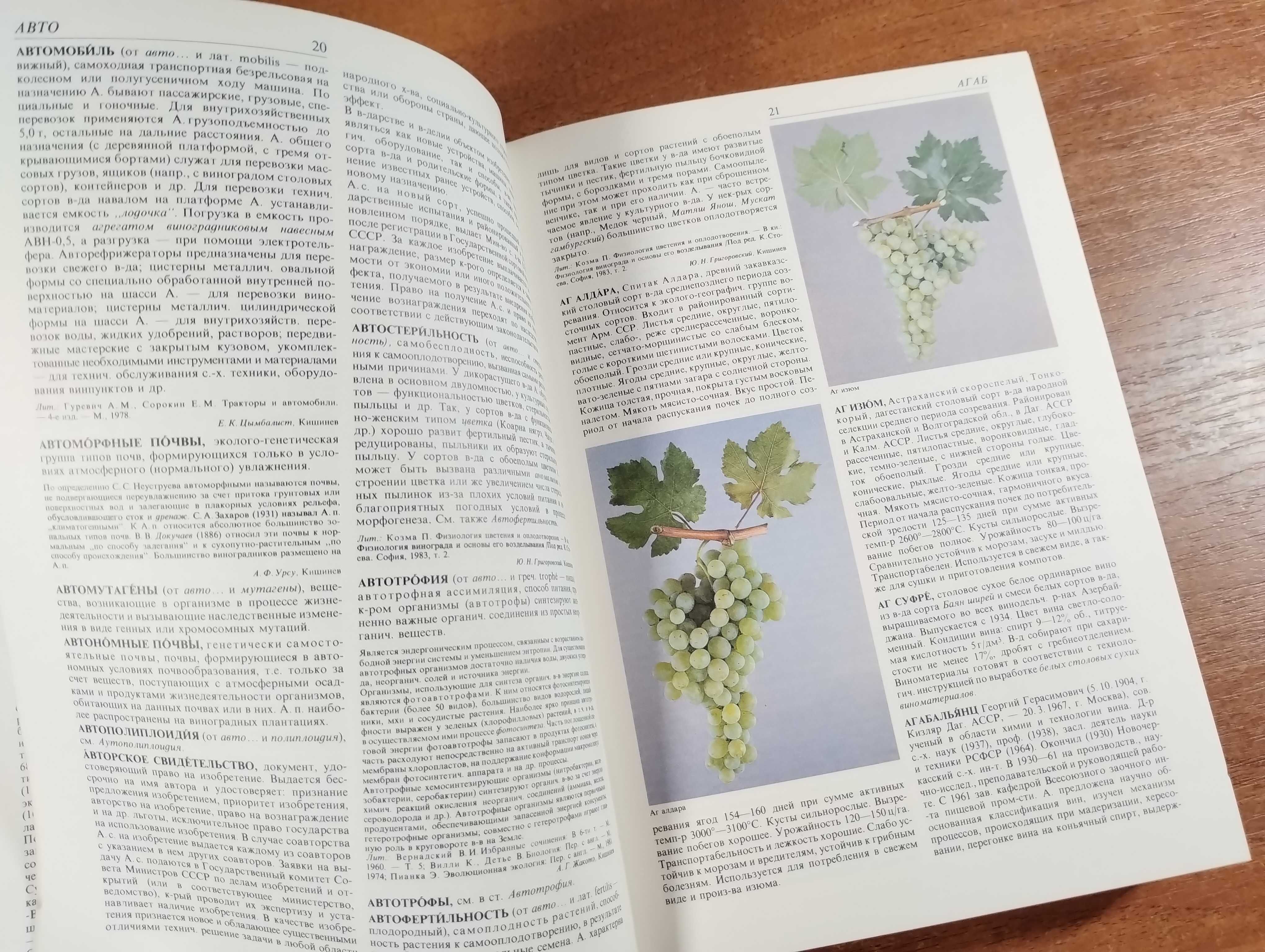 Энциклопедия виноградарства 3 тома