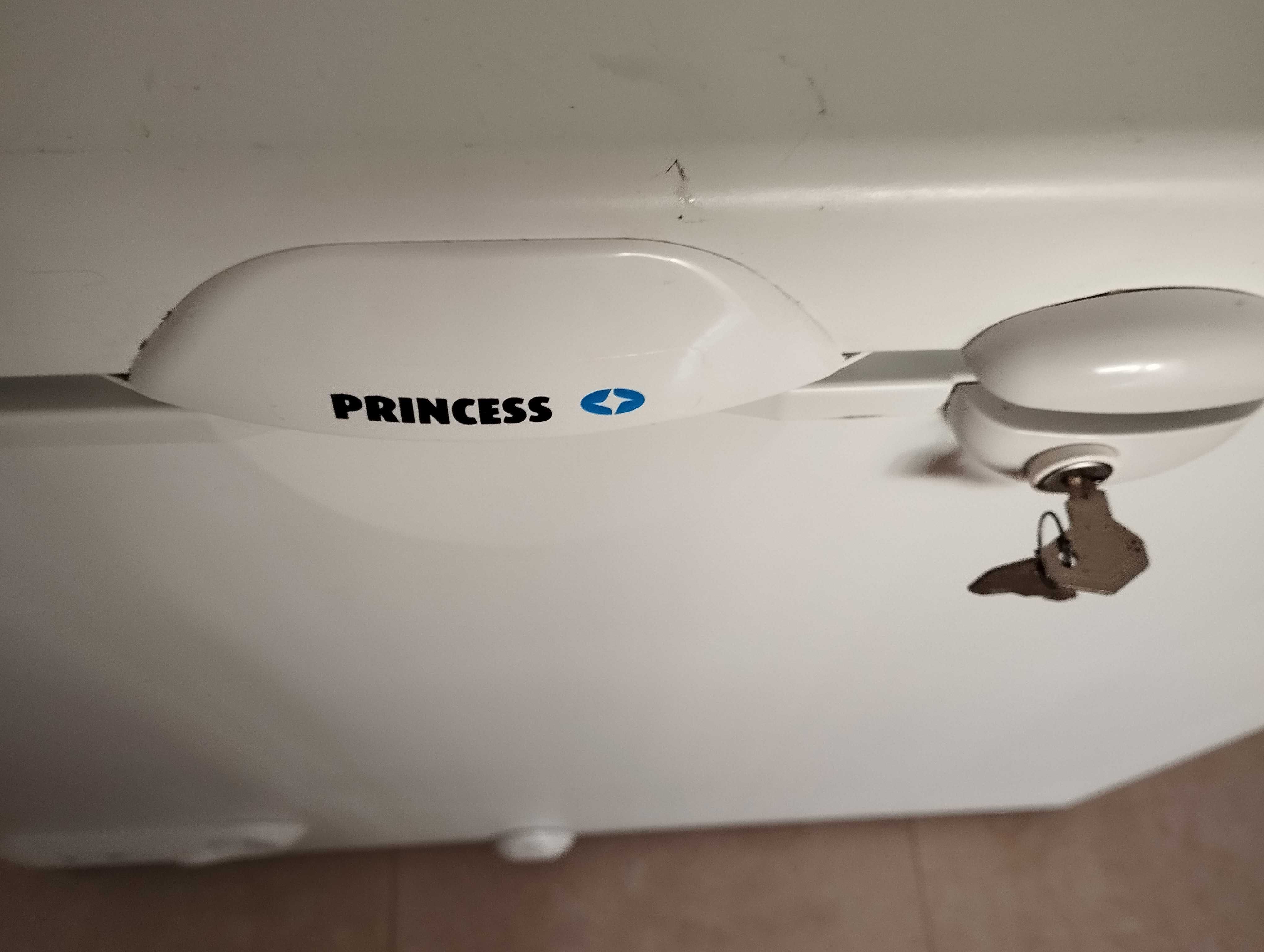 Arca congeladora Princess