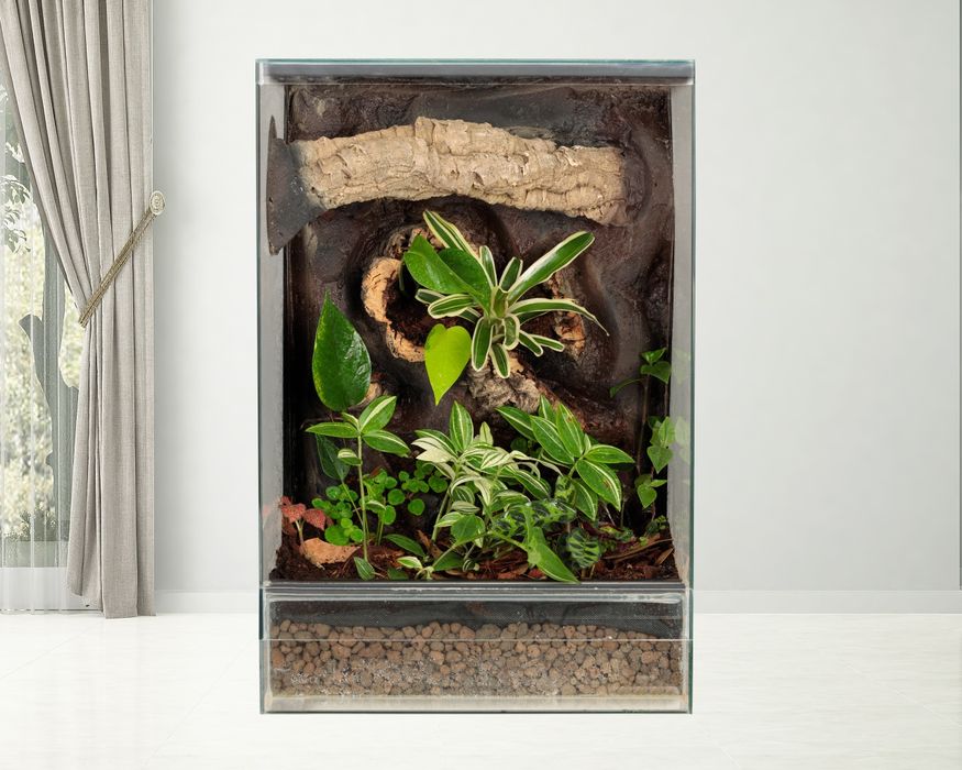Terrarium 40x40x60 gekon