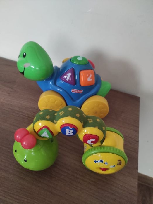 Ślimak i żółwik Fischer