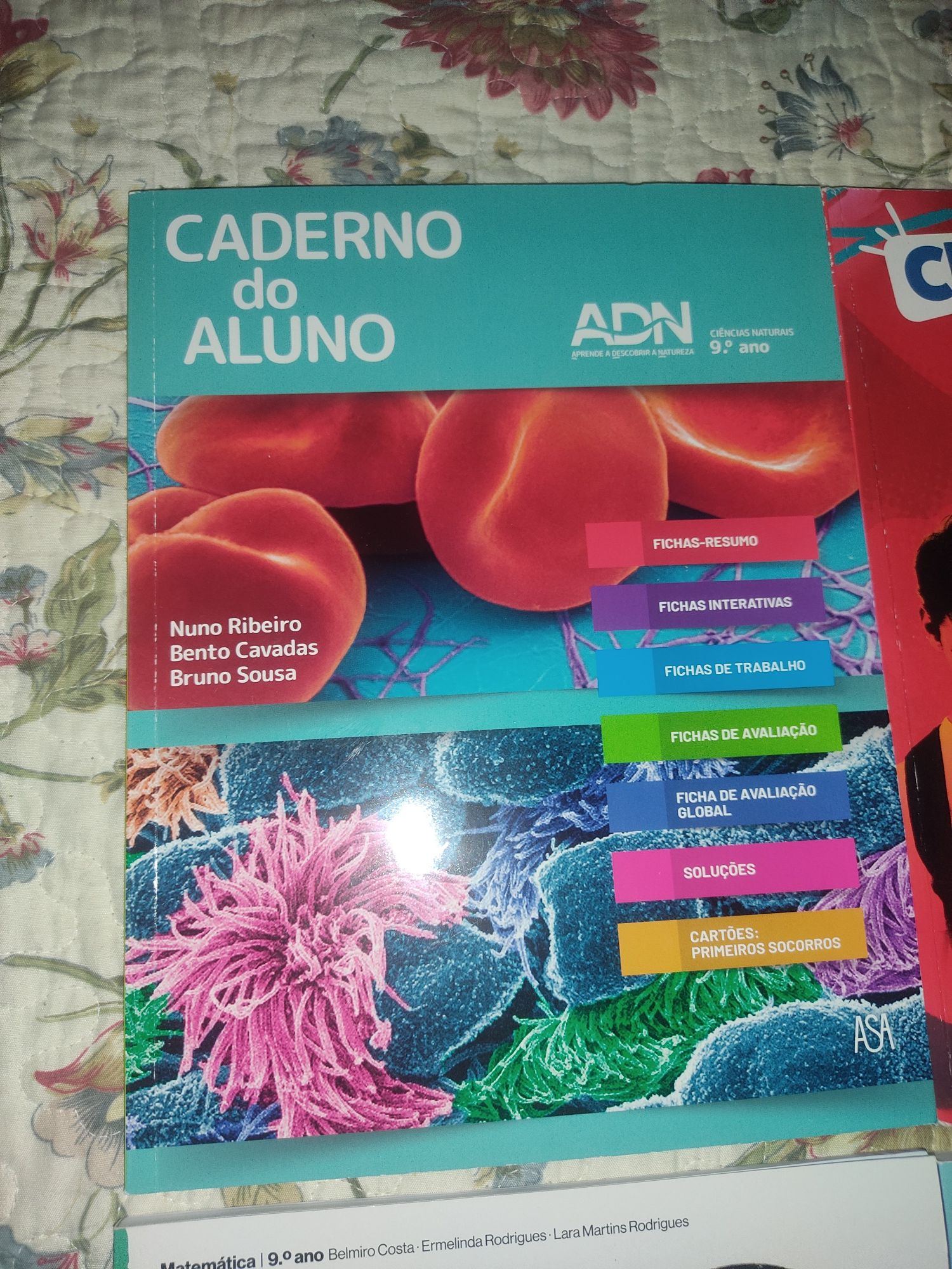 Cadernos novos de atividades 9°ano