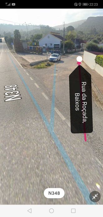 Terreno rústico com olival e pinhal