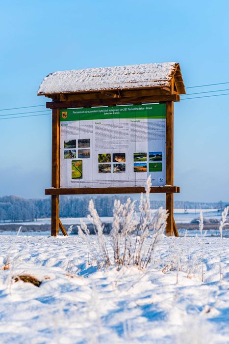 Tablice edukacyjne drewniane do lasu parku szkoły Tablice informacyjne