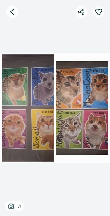 Karteczki do segregatora