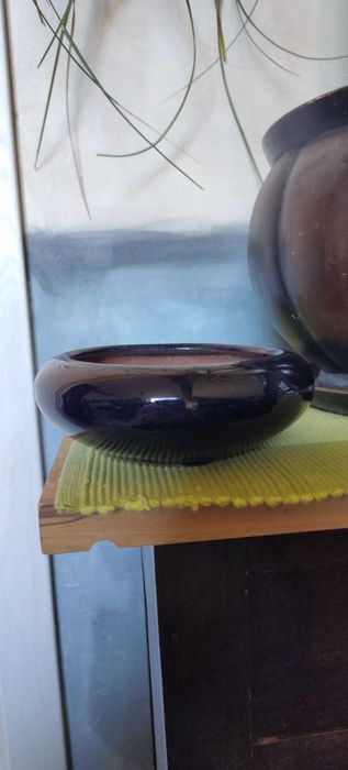 Okrągła doniczka bonsai