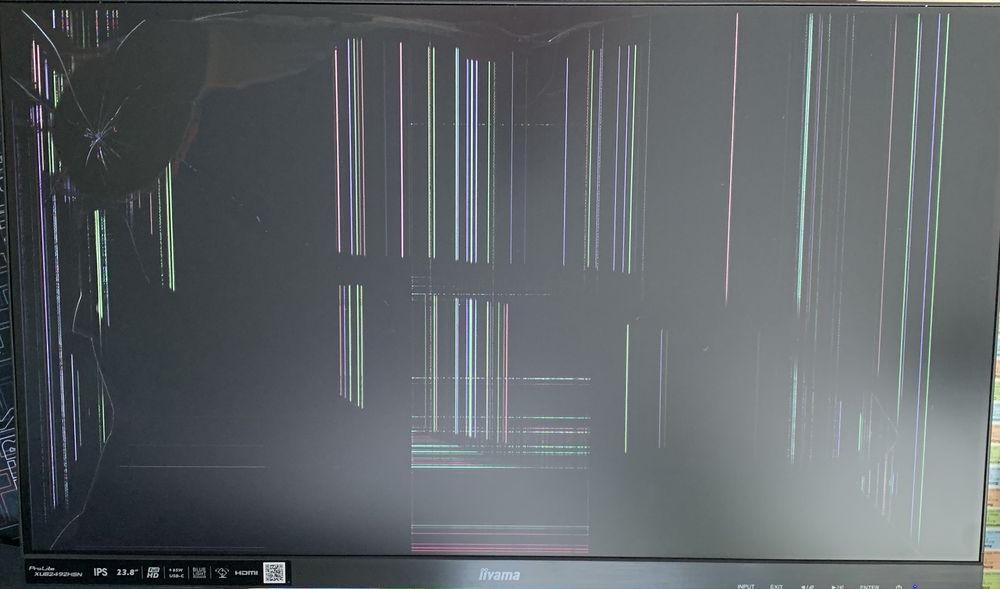 Monitor iiyama 24 PL2492HC z uszkodzną matrycą