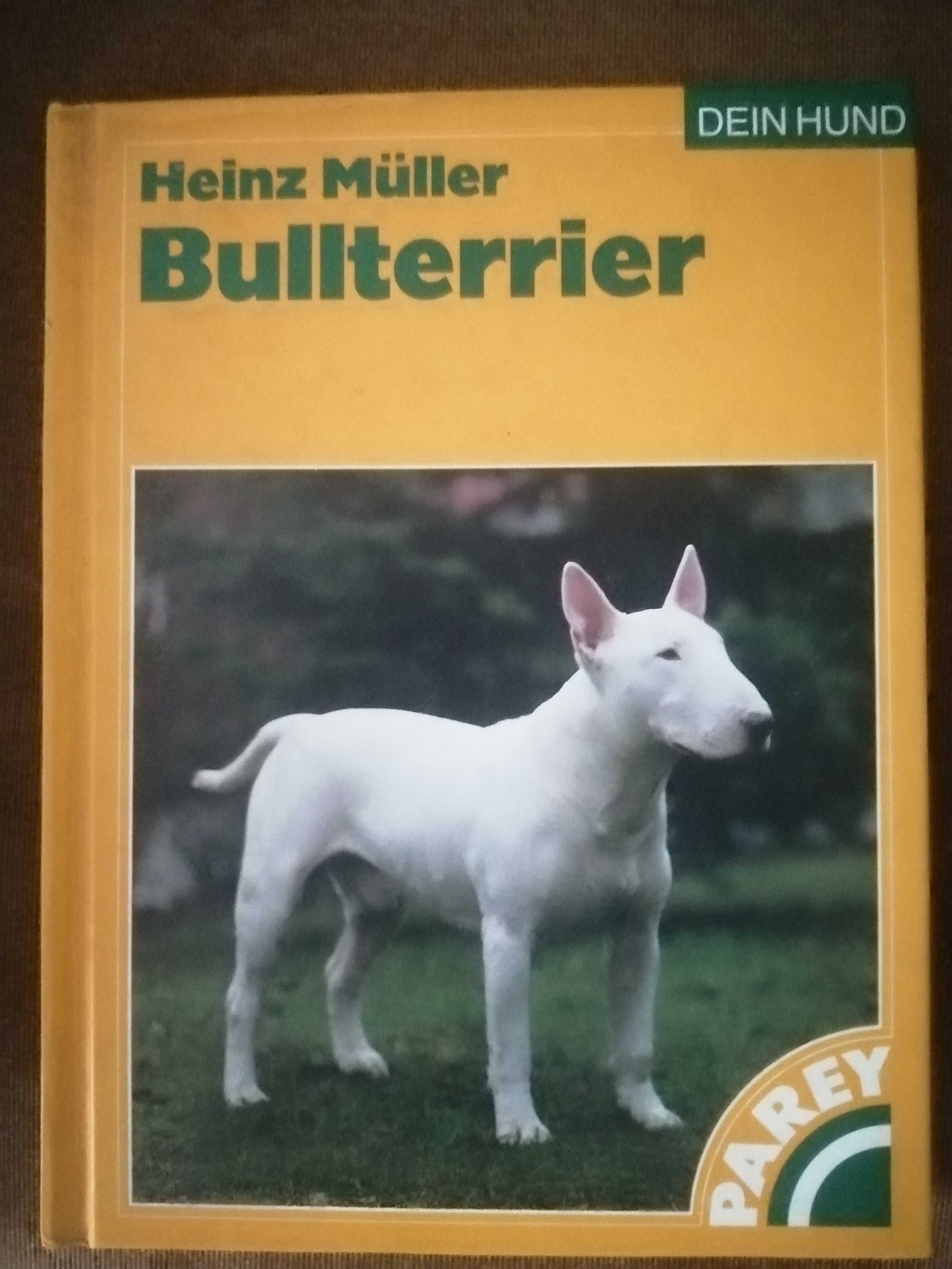 Bullterier Heinz Muller