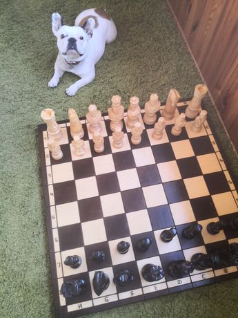 Большие деревянные шахматы ЦЕЗАРЬ 60 х 60 см