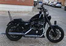 Harley Davidson  Roadster 1200