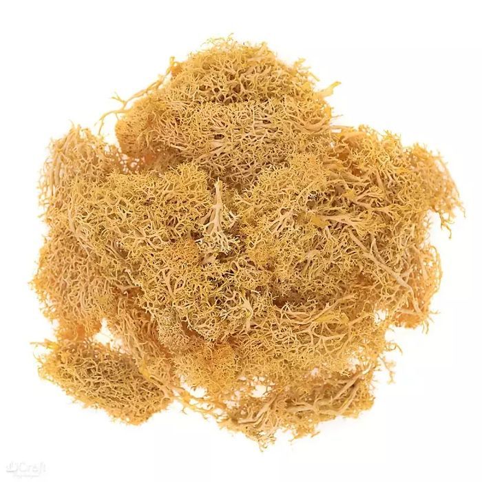 Mech ochrowy 30g. DP Craft